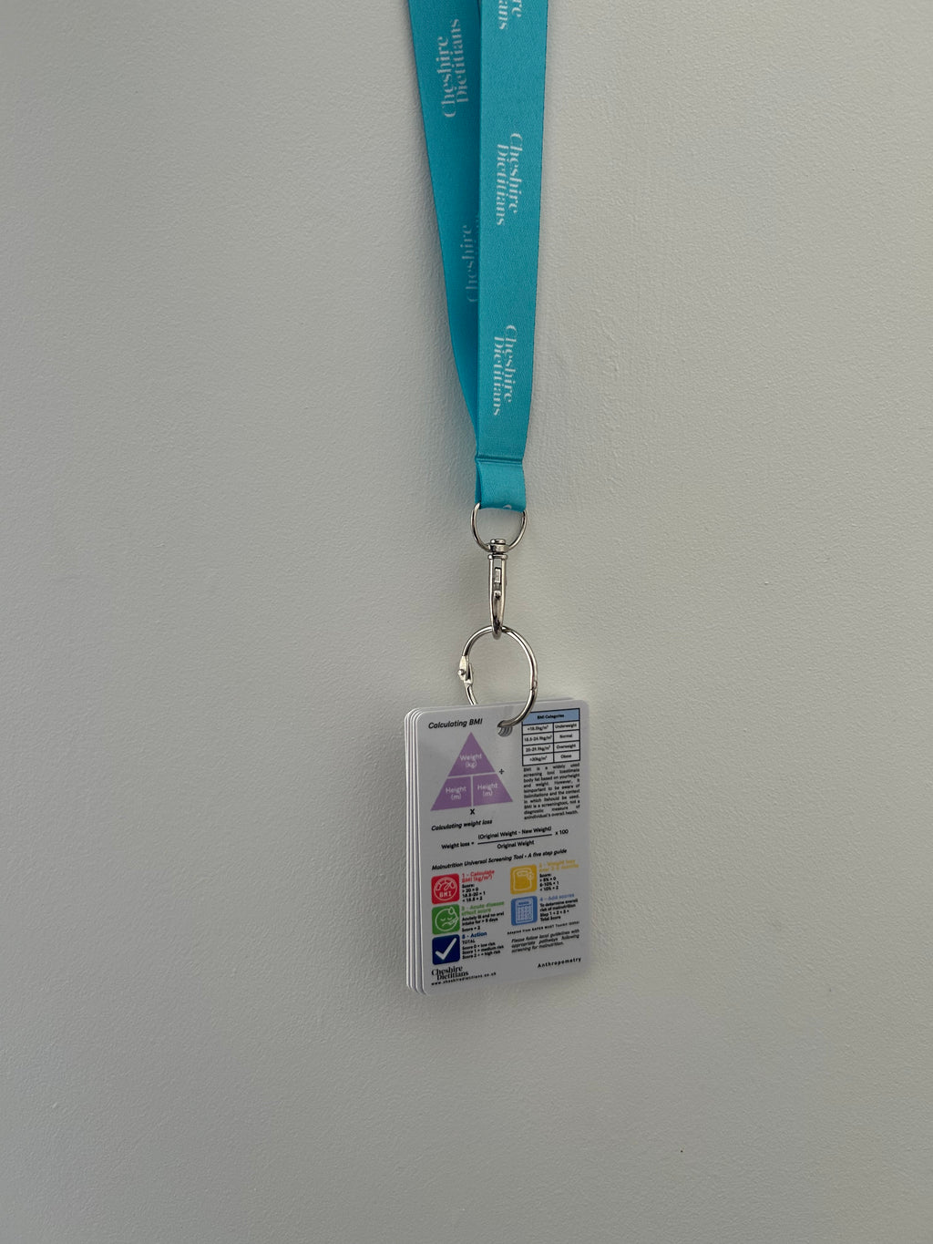 Pocket Clinical Nutrition Reference Lanyard Cards